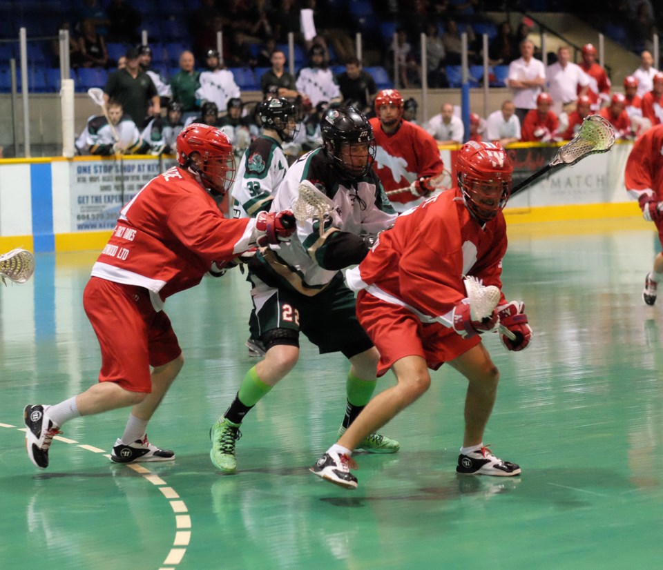 NW Salmonbellies