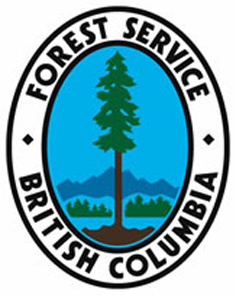 Forest Service logo