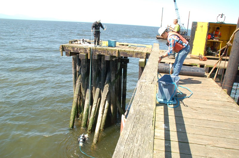 Pier construction