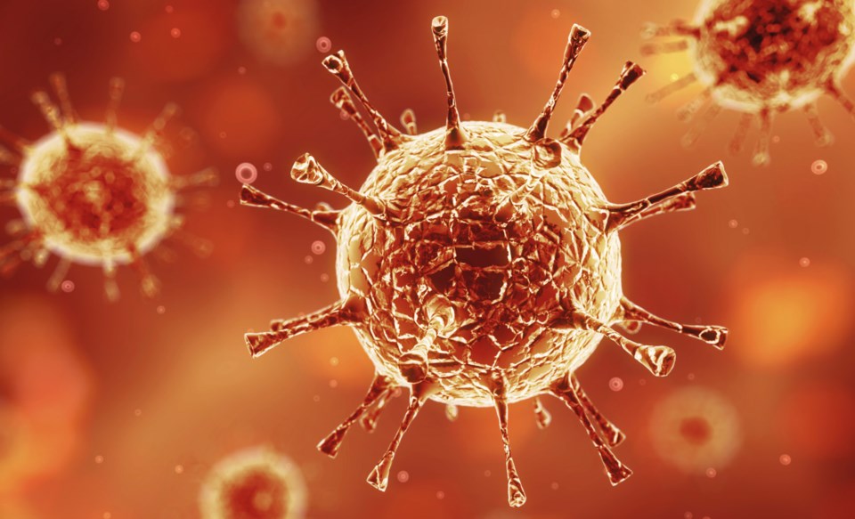 Norovirus likely culprit at DSS outbreak Delta Optimist