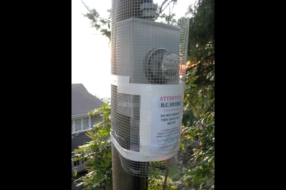 Linda Ewart's old hydro meter is wrapped in protective wire to keep the smart meter installation people away. Ewart is organizing a rally against smart meters in Burnaby on June 14.