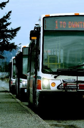 Snrs-Transit-Tea.09.jpg