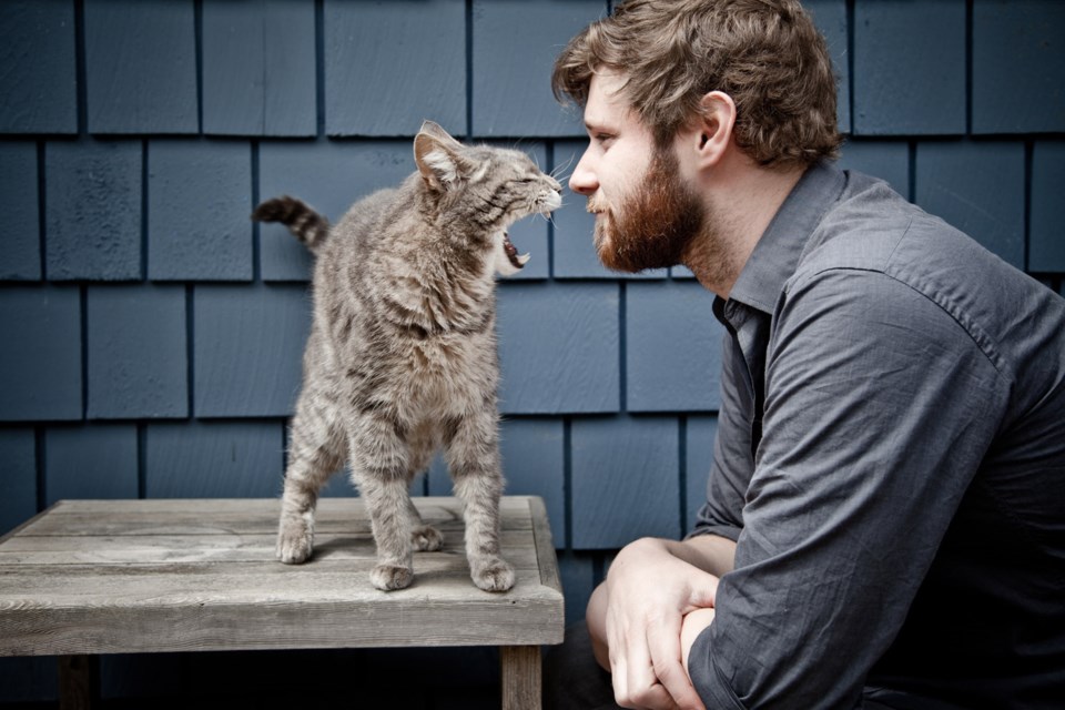 Dan Mangan appears at the CBC.ca Music Festival at Deer Lake Park this weekend.