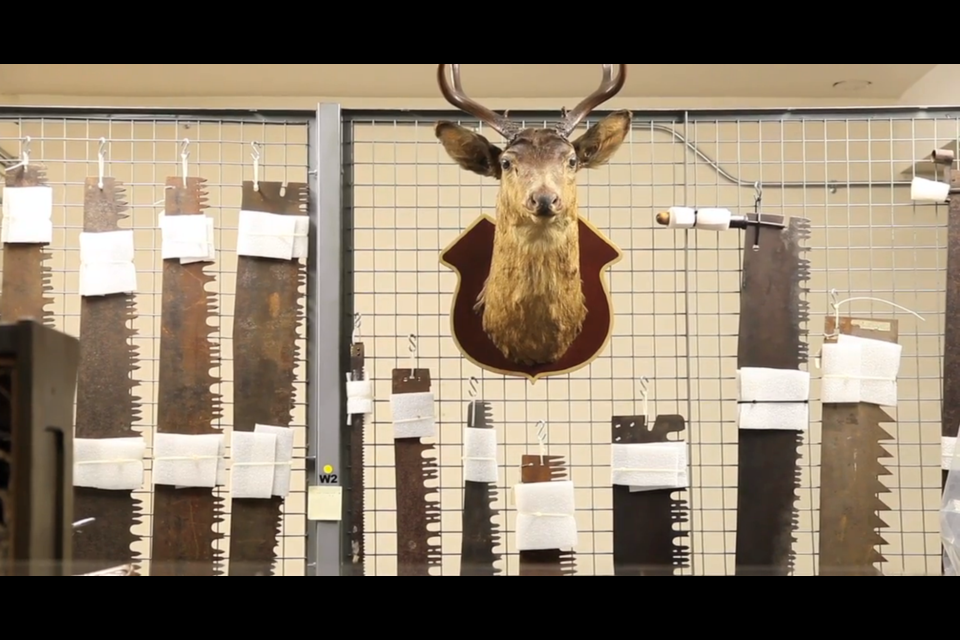 Photographer Jason Lang takes a look at some of the hidden articles in the museum's collection