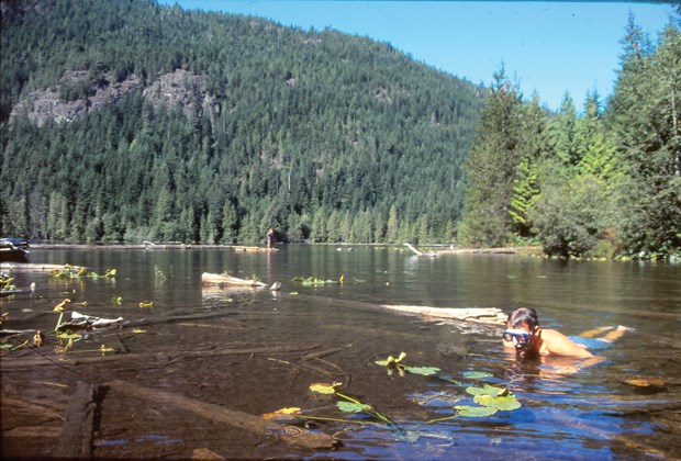 gambier swimming