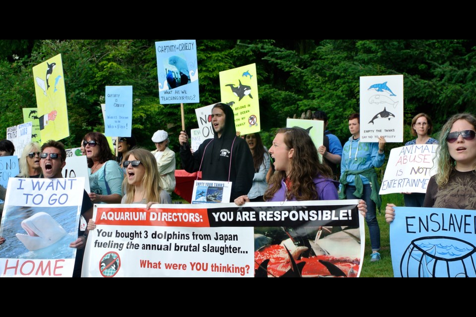 More than 100 protesters attended a private party to celebrate the first phase of the Vancouver Aquarium’s $60 million expansion. Photo Chris Cheung