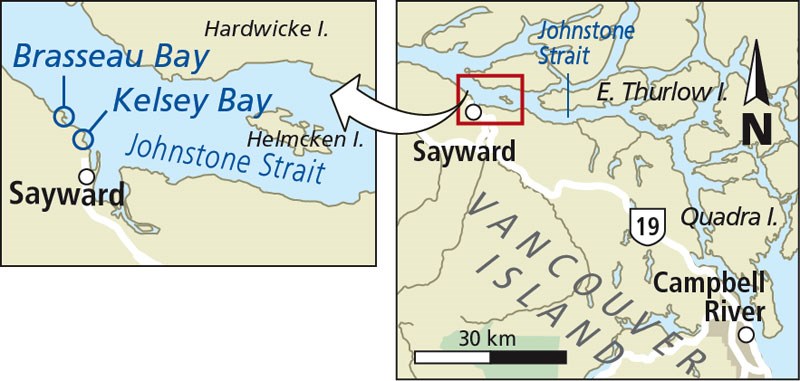 Map of Kelsey Bay and area where fishing-boat captain from Courtenay is presumed drowned.