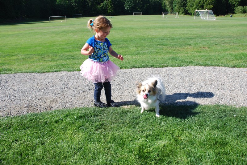 Macey dogs