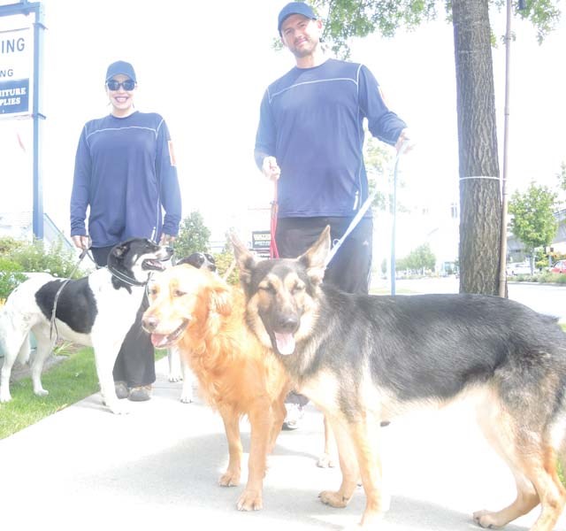 dog walker