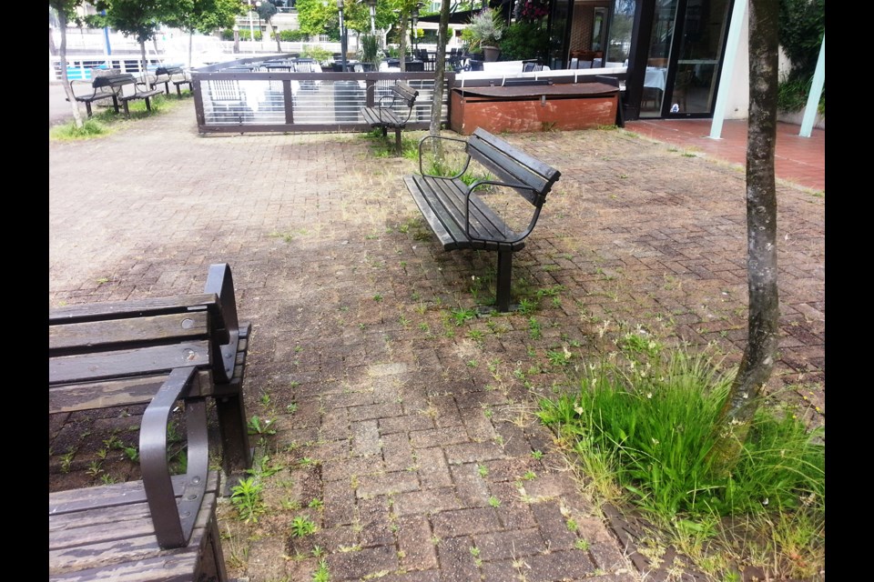 Weeds gather on what was once a prized portion of Vancouver's waterfront walkway system. Photo Michael Geller