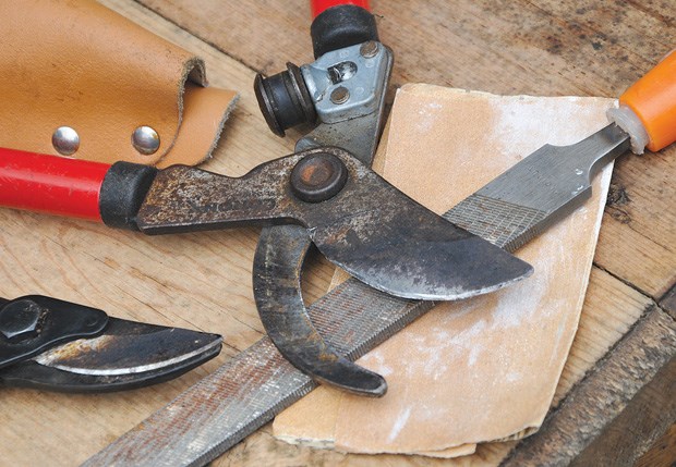 The art and science of pruning