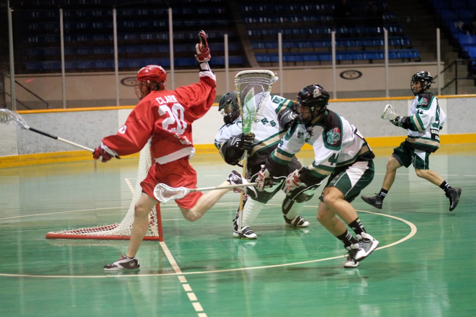 NW Salmonbellies