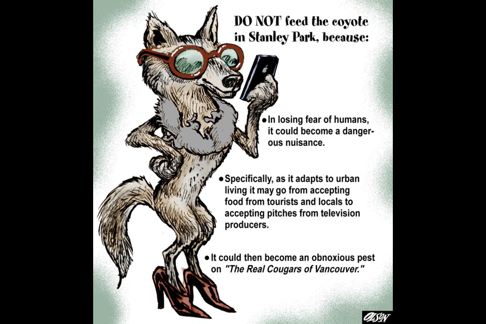 Illustration by Geoff Olson.