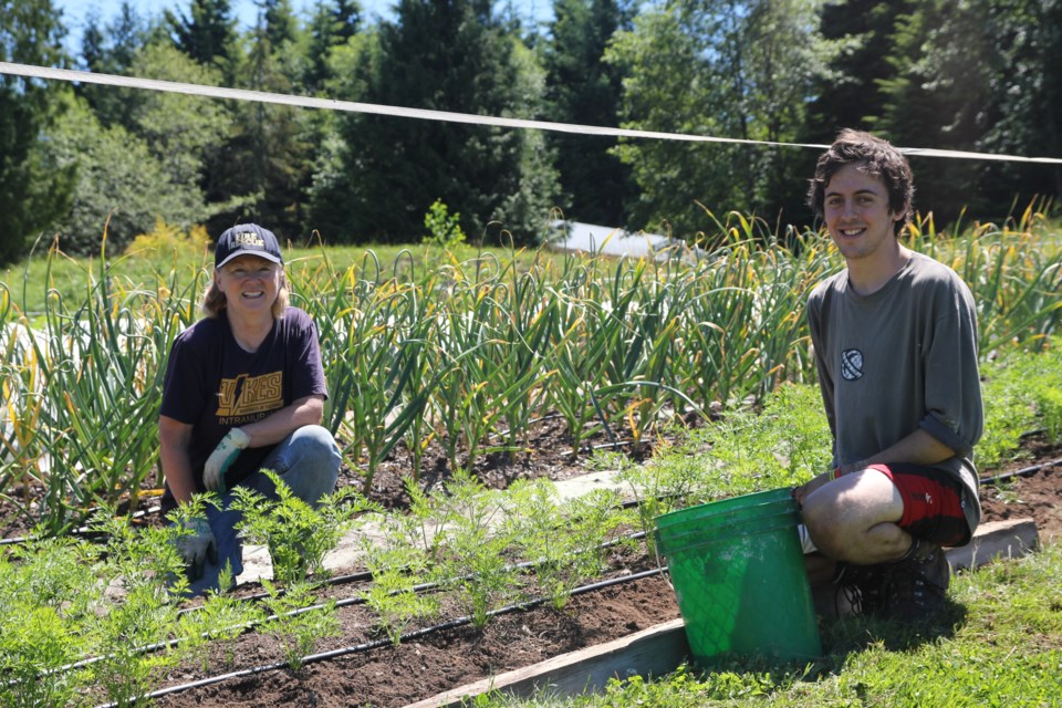 Marg McConnell and WWOOFer (Willing Worker on Organic Farms) Frank Armstrong planting carrots on Bowen Brook Farm.