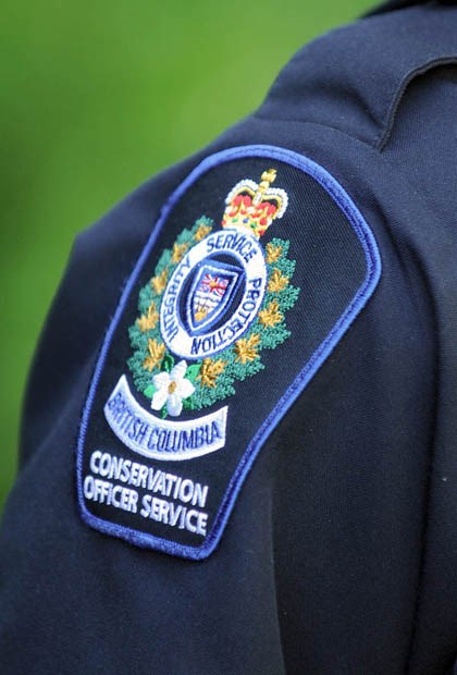 co badge