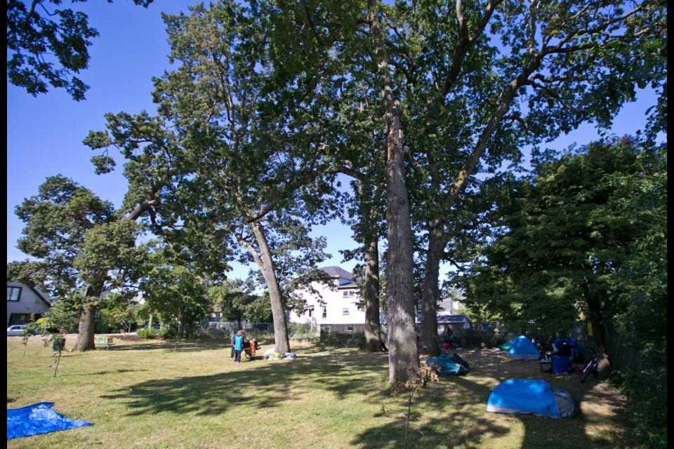 Campers in Kings Park on Caledonia Avenue in Fernwood. Victoria city staff report that an estimated 302 tents were pitched in city parks in April, almost twice as many as the 164 erected in May 2016.
