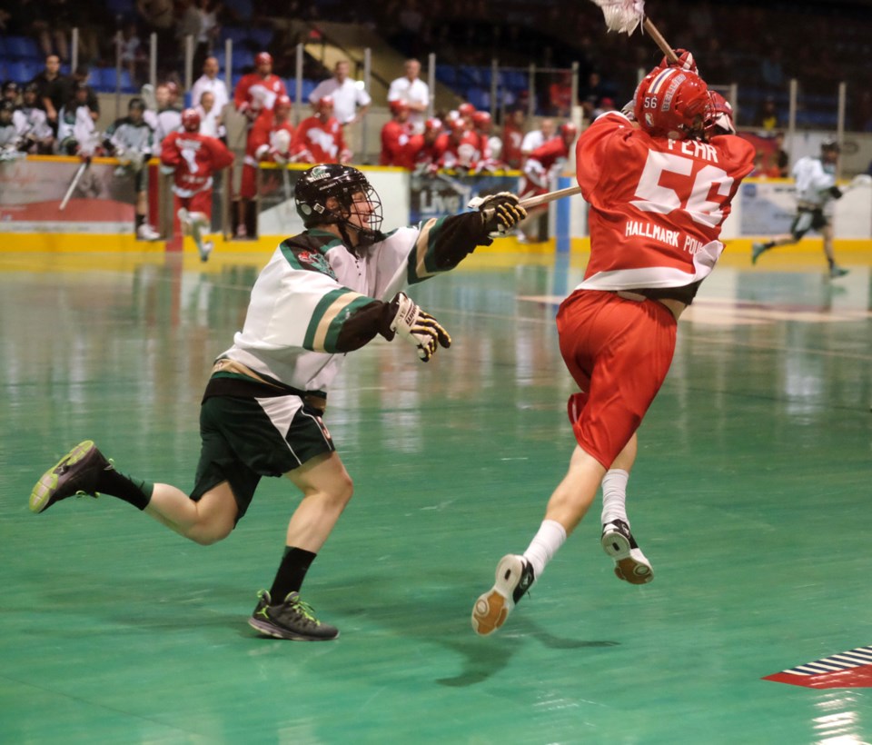 NW Salmonbellies