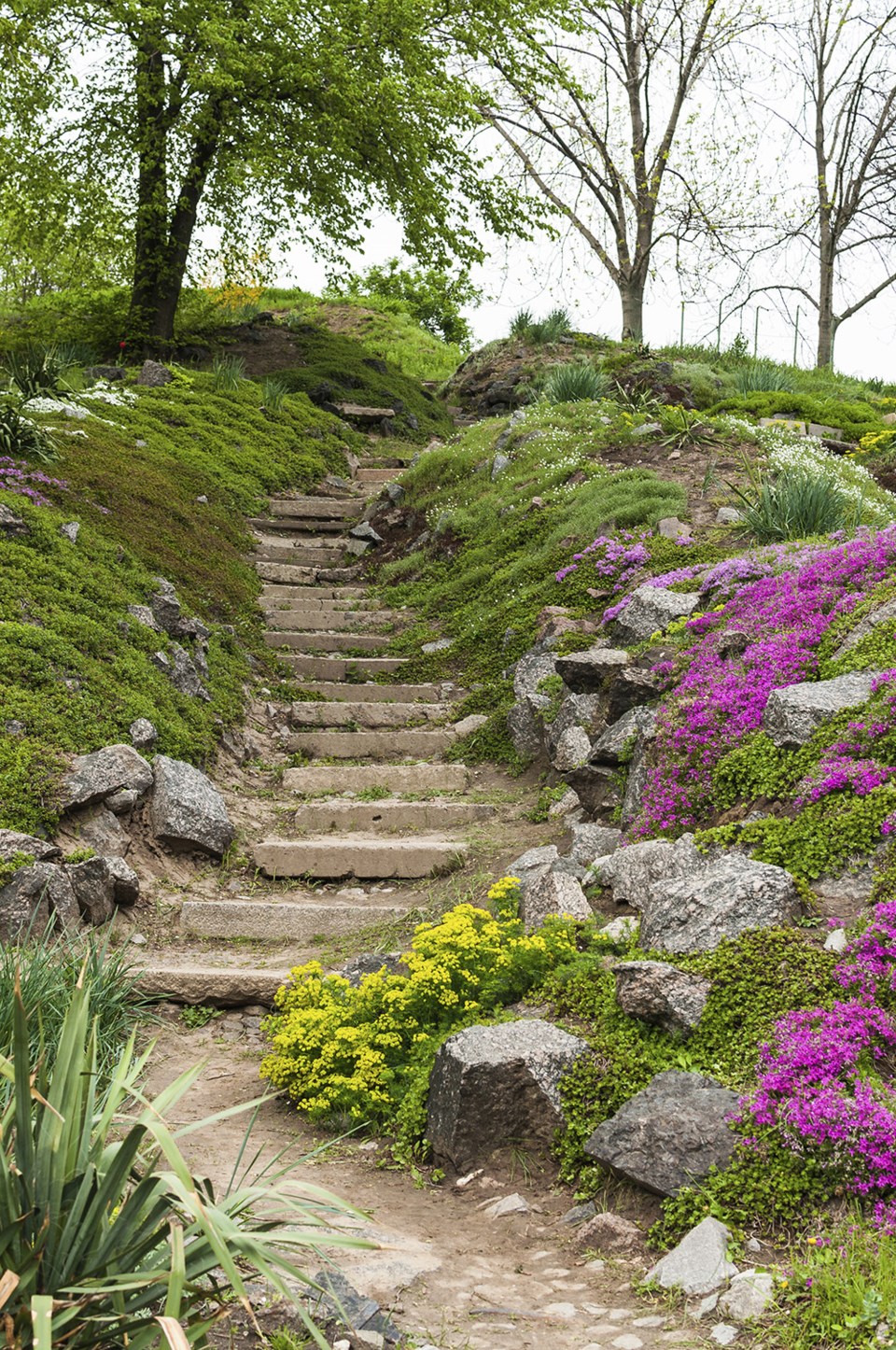 Garden on slope