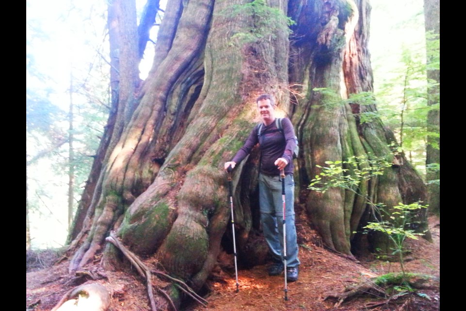 In a self-portrait, author Mike Hanafin stands at the base of the largest of the giant cedars.