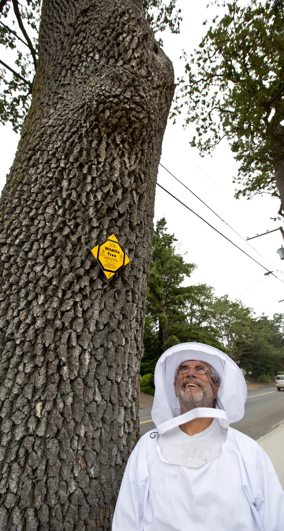 VKA-bees-088801.jpg