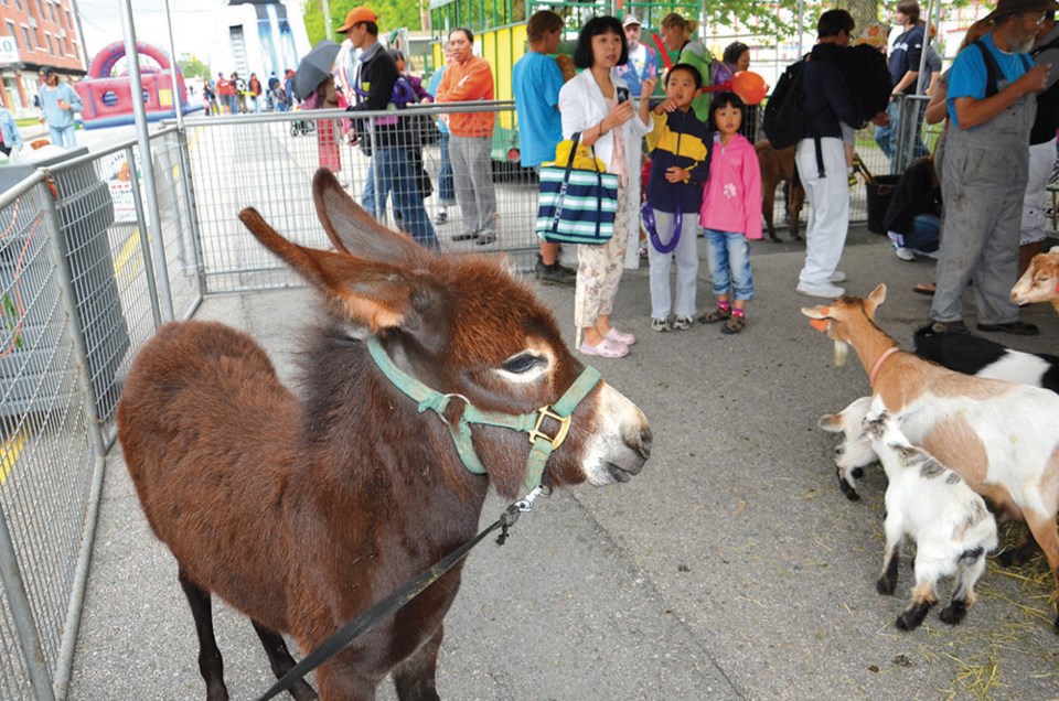 Edmonds City Fair