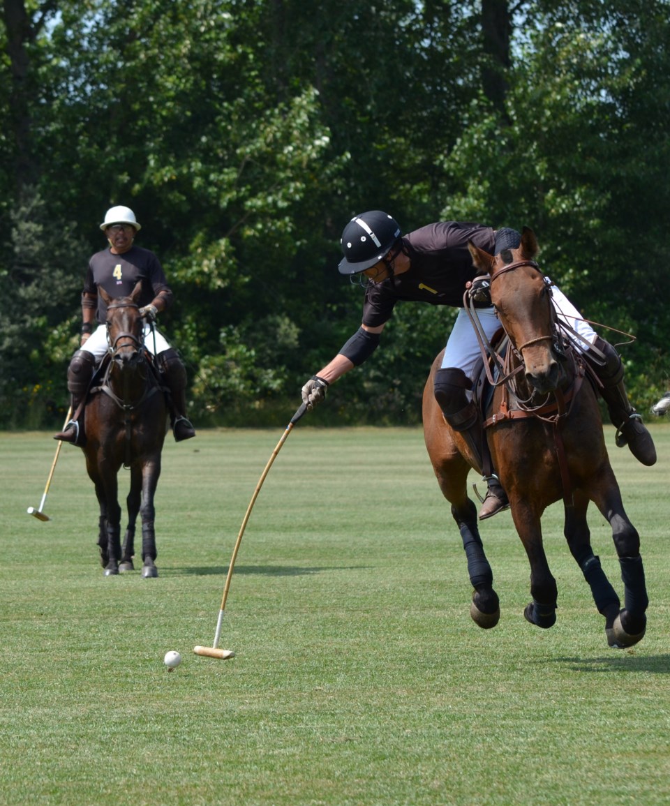 Southlands Polo