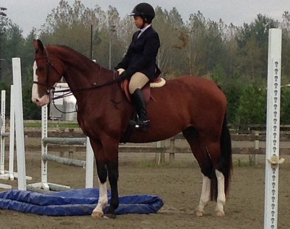 Mia Gordon and her mount shared a bronze medal in the equestrian team competition at the B.C. Summer Games.