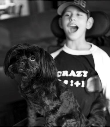 boss-the-yorkie-still-missi.jpg