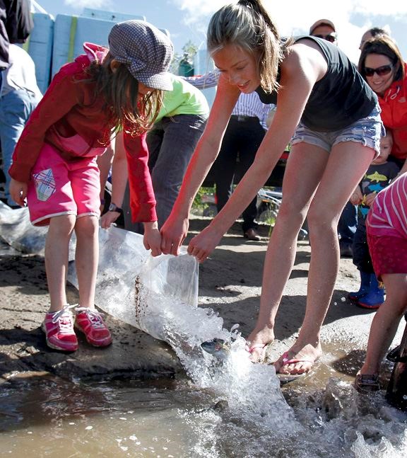 fish-flow-into-dodge-pond.2.jpg