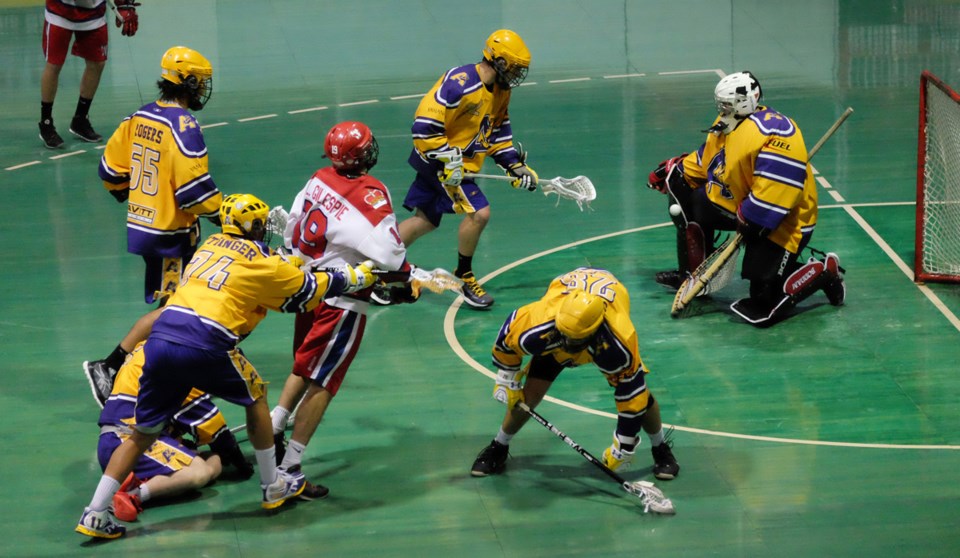 NW Jr Salmonbellies