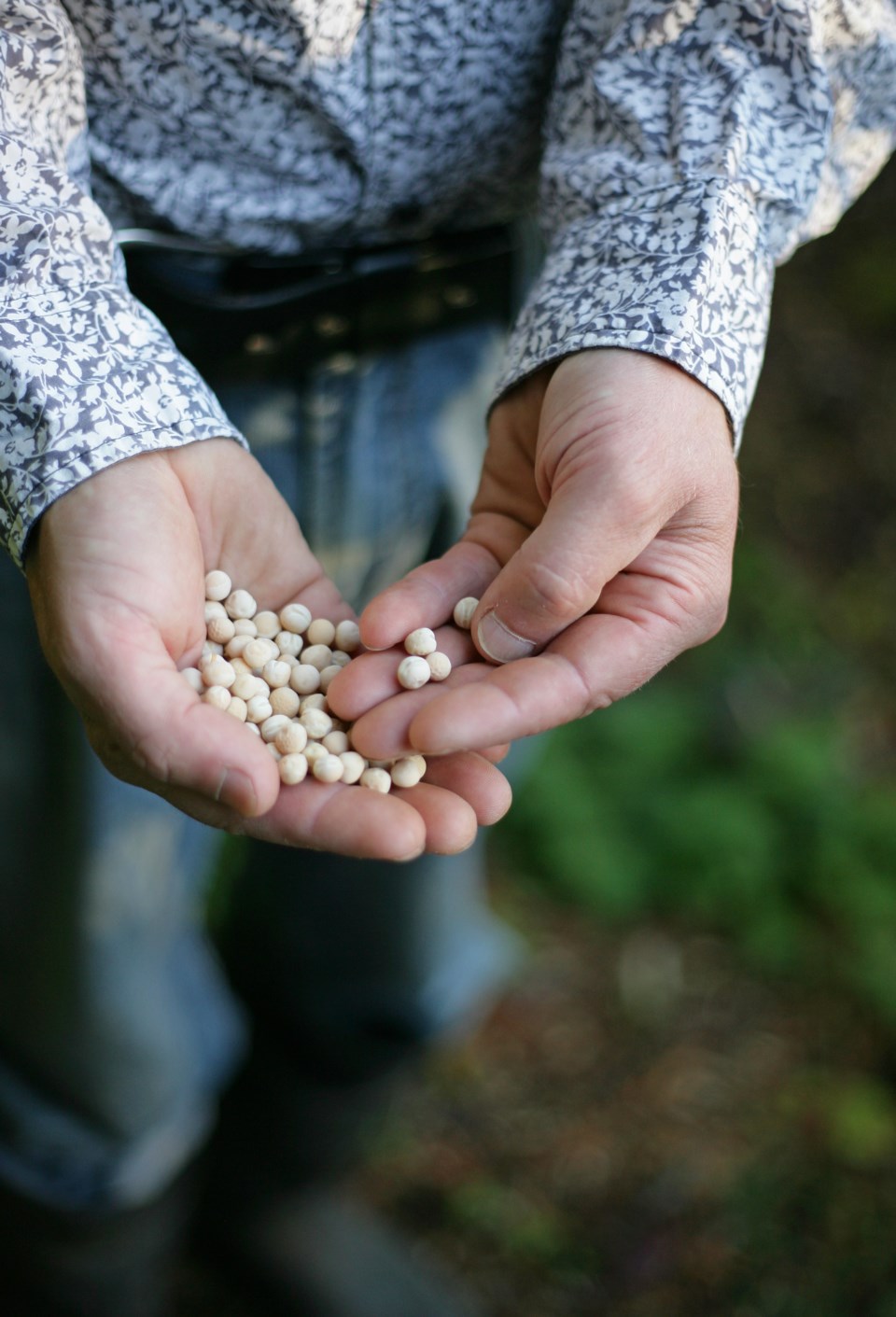 Living well garden