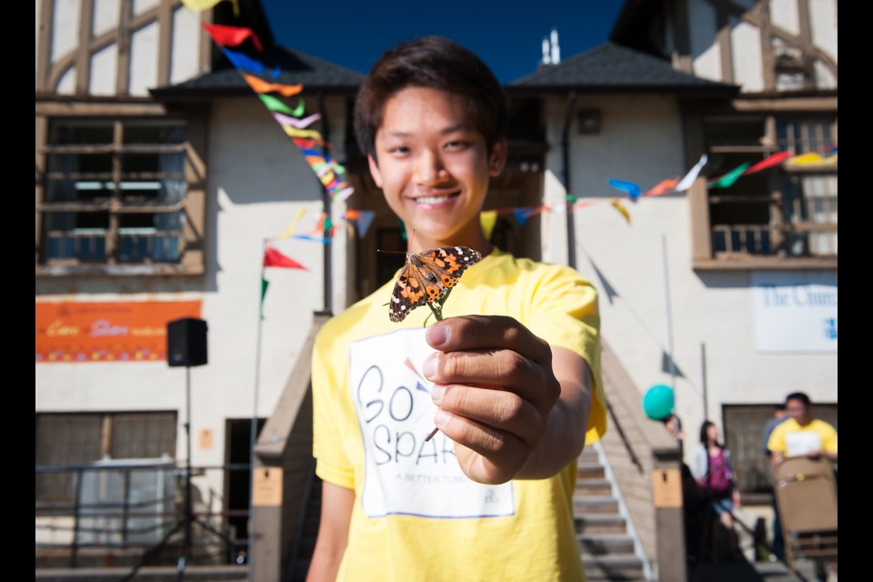 Charles Tupper secondary student Joshua Yu, 15, holds one of the 350 painted lady butterflies he bred for Sunday’s mass release at Sixth and Main. People in attendance at the Light and Love Home’s open house were invited to donate five dollars to release their own butterfly. The funds go towards building an orphanage in the Democratic Republic of Congo. Photograph by: Rebecca Blissett