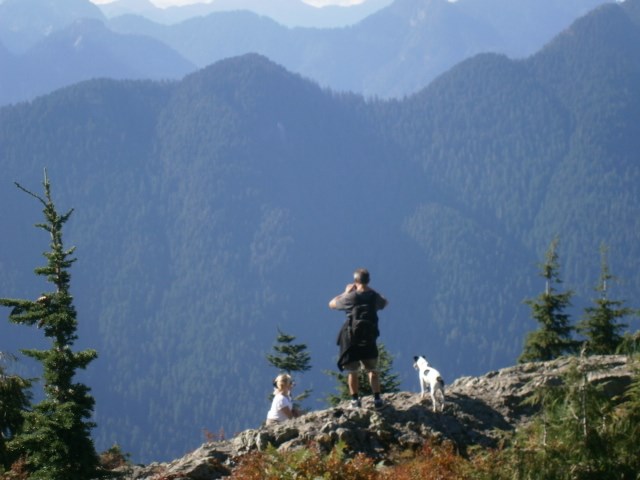 hiking dog mountain