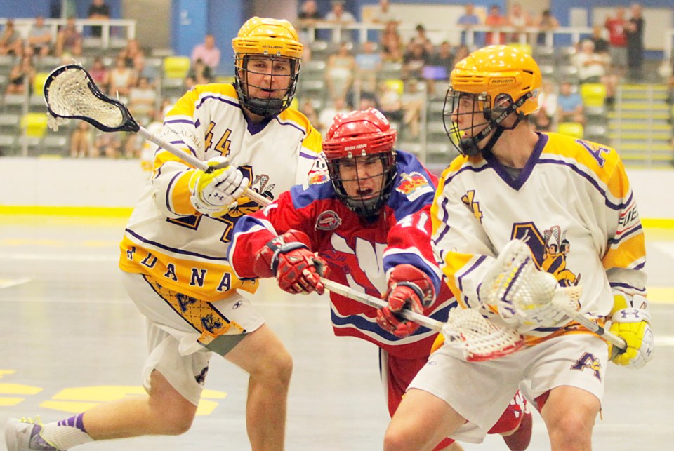 NW jr Salmonbellies