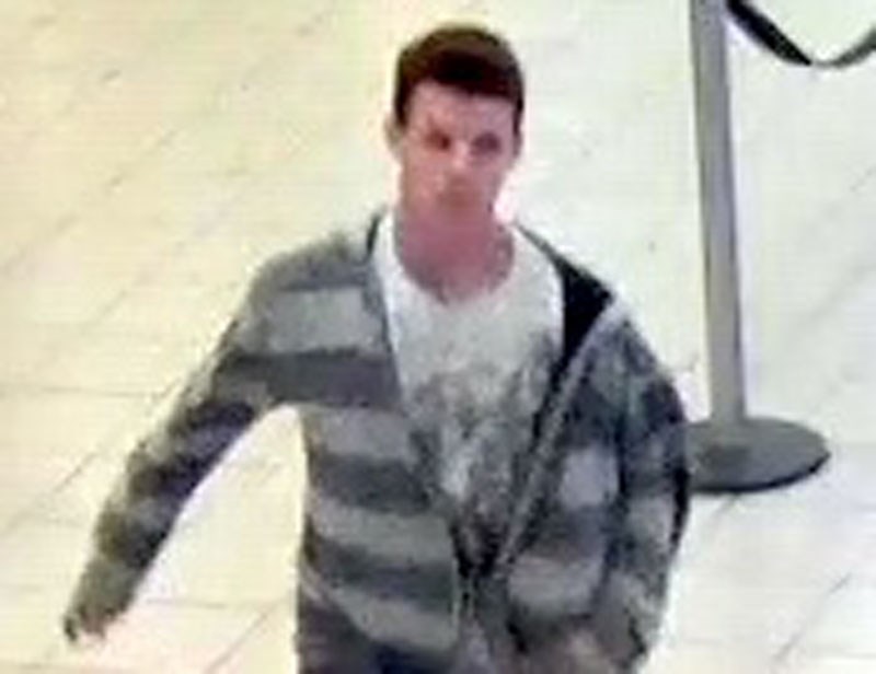Purse suspect