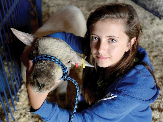 BCNE-4-H-sheep.09.jpg