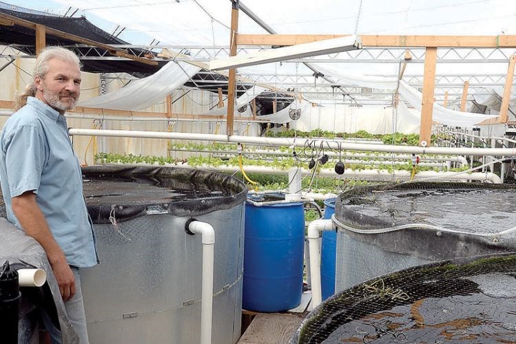 Aquaponics.11.jpg