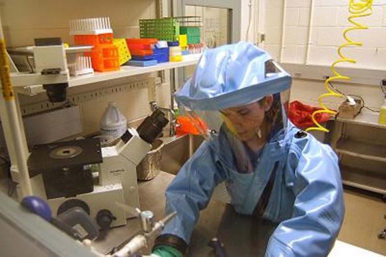 Ebola drug test