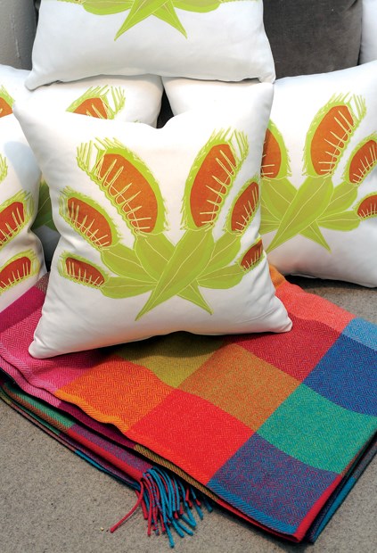 pillow
