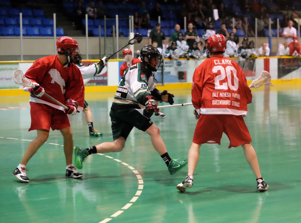 NW salmonbellies