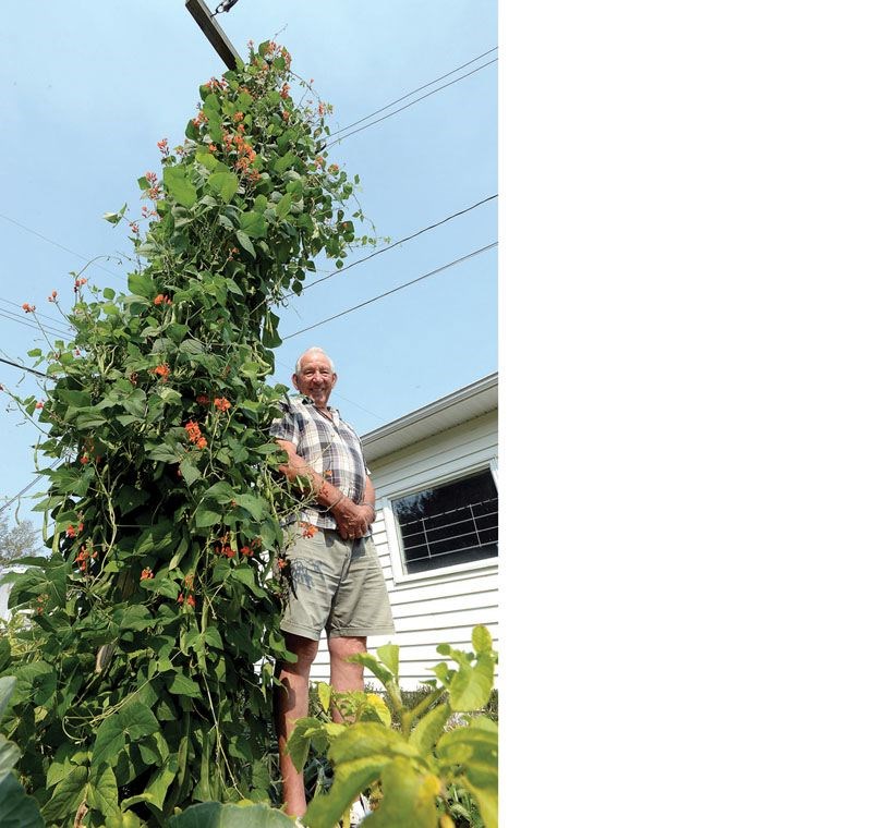 Neil-and-the-Bean-stalk.jpg