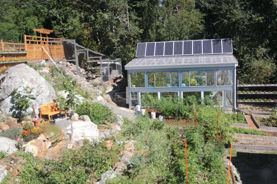 The greenhouse at Black Cat Farm.