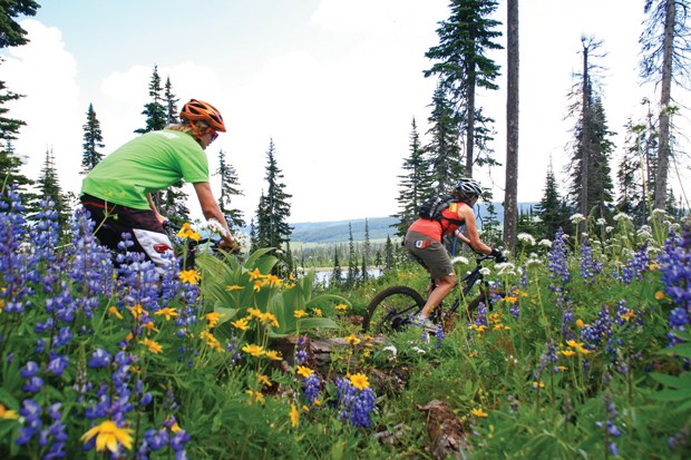 Mountain biking has deep roots at Sun Peaks where 38 trails of lift-accessed terrain takes riders through everything from easy greens to spine-jarring black diamonds.