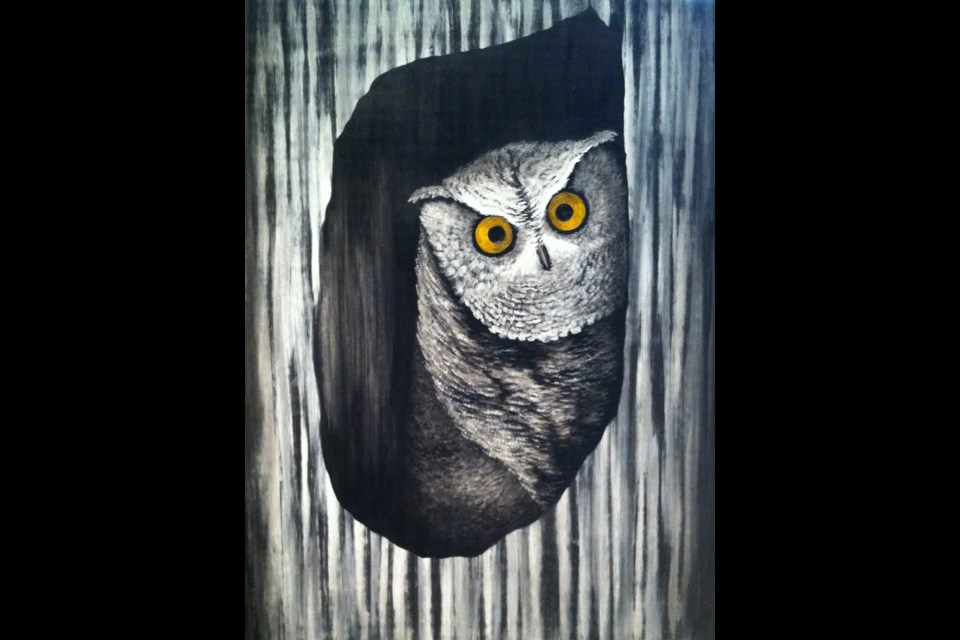 Owl