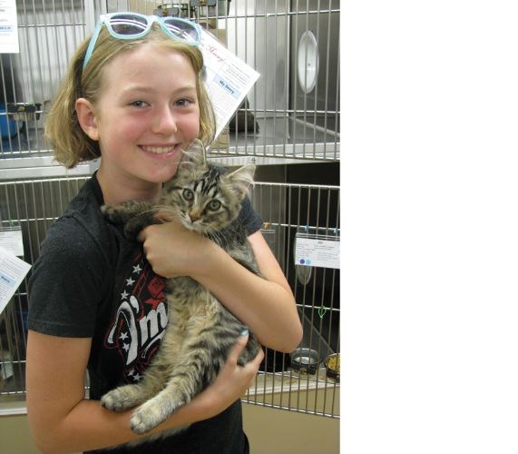 Free-cat-spay.18.jpg