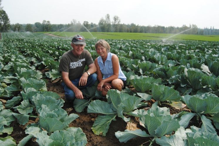 50-years-of-veggies.19.jpg