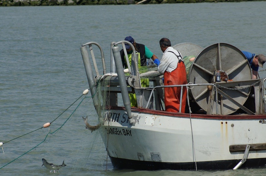 Photos: The mighty, busy Fraser River_16