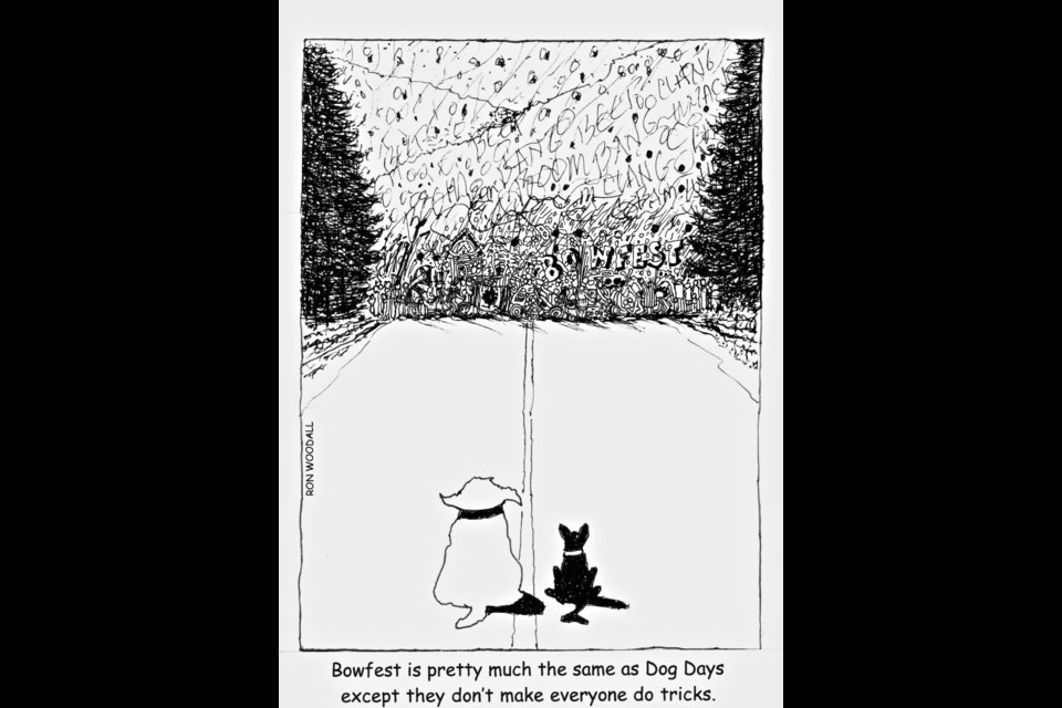A pet's perspective on the Bowfest Parade.