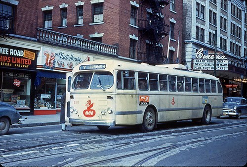 bus