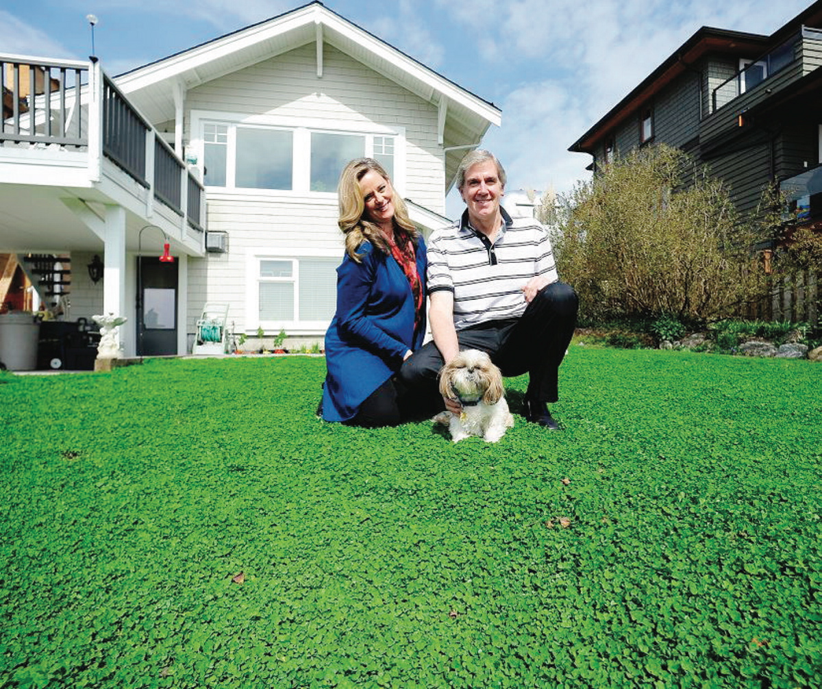Clover lawn discount